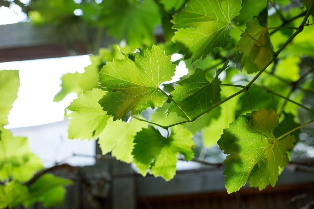Maison Kervarrec - Rennes - Saint-Gregoire 部屋 写真
